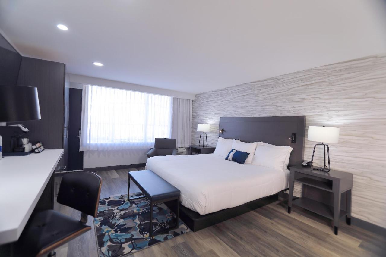King Room Gulf View Non-Smoking