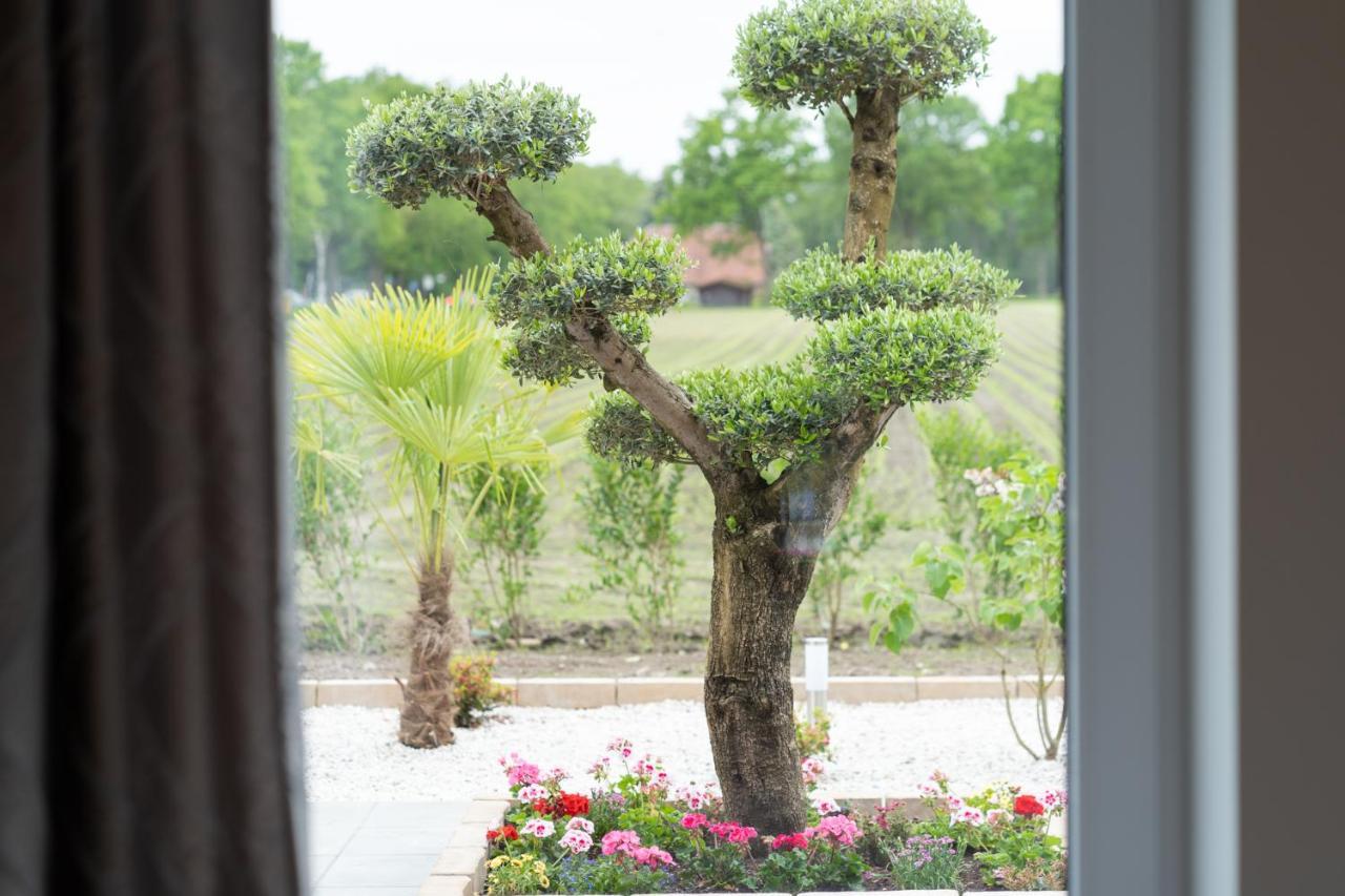 Double Room Terrace