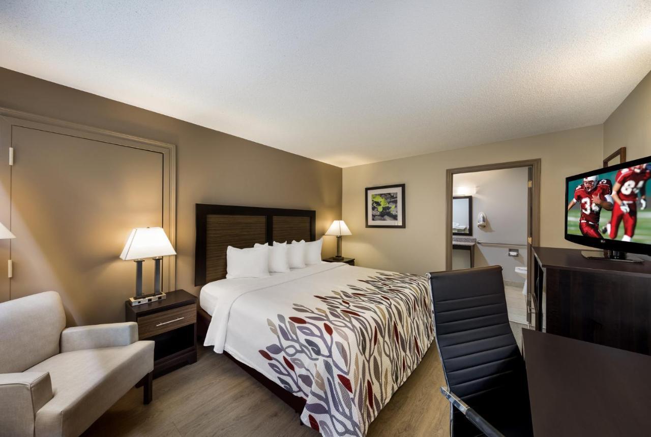 Superior King Room Disability Access Non-Smoking