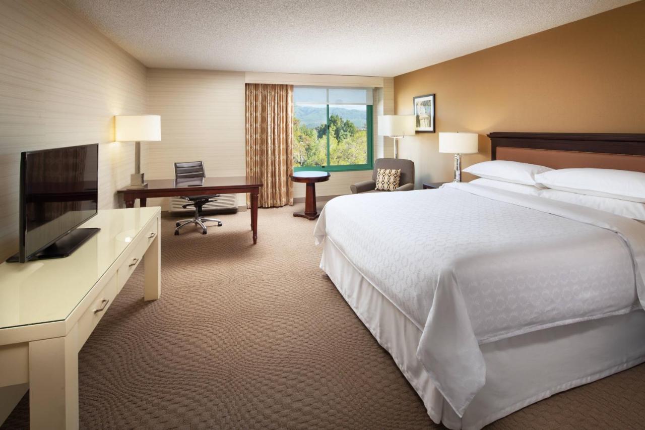 Guest Room 1 King