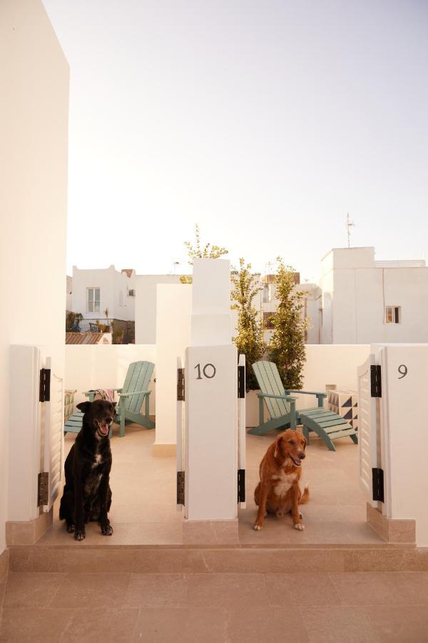 Double Room Terrace