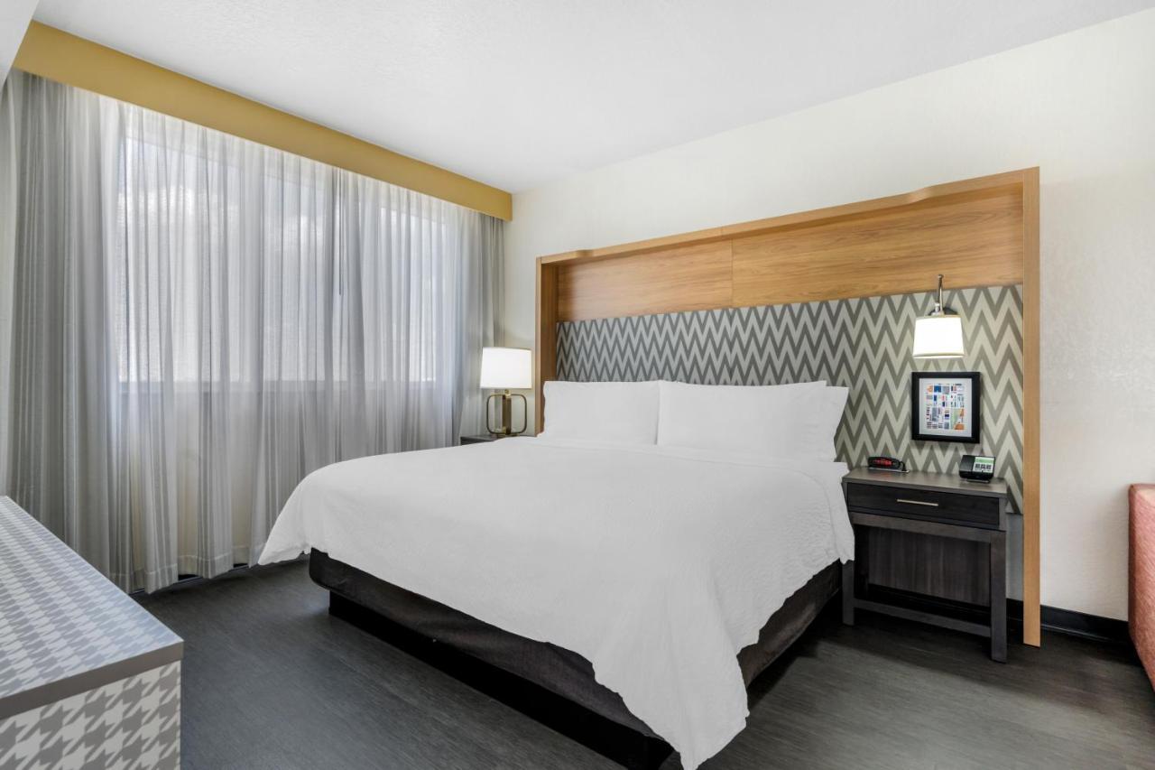 King Room Sofa Bed