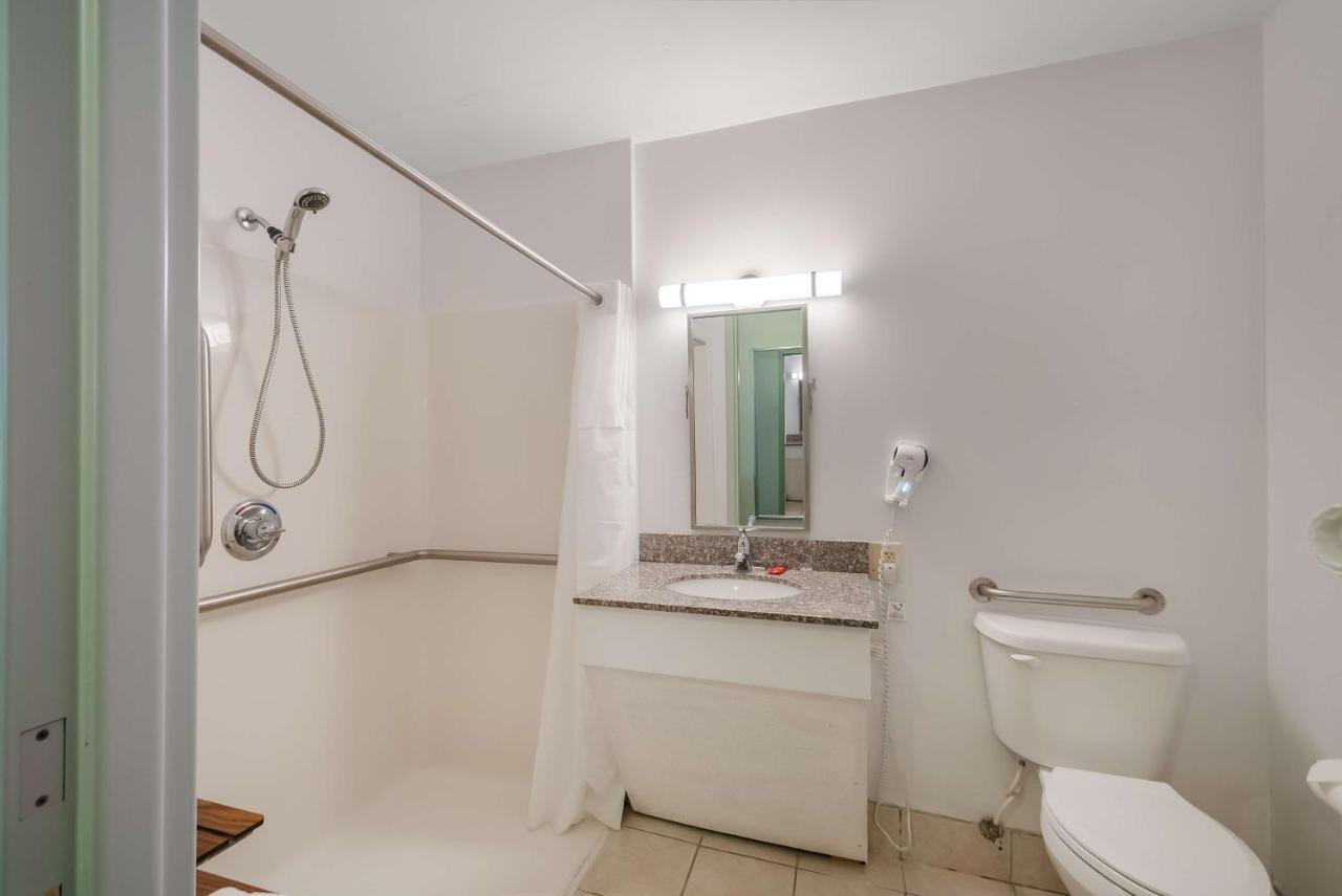 King Room Roll Shower Disability or Non-Smoking