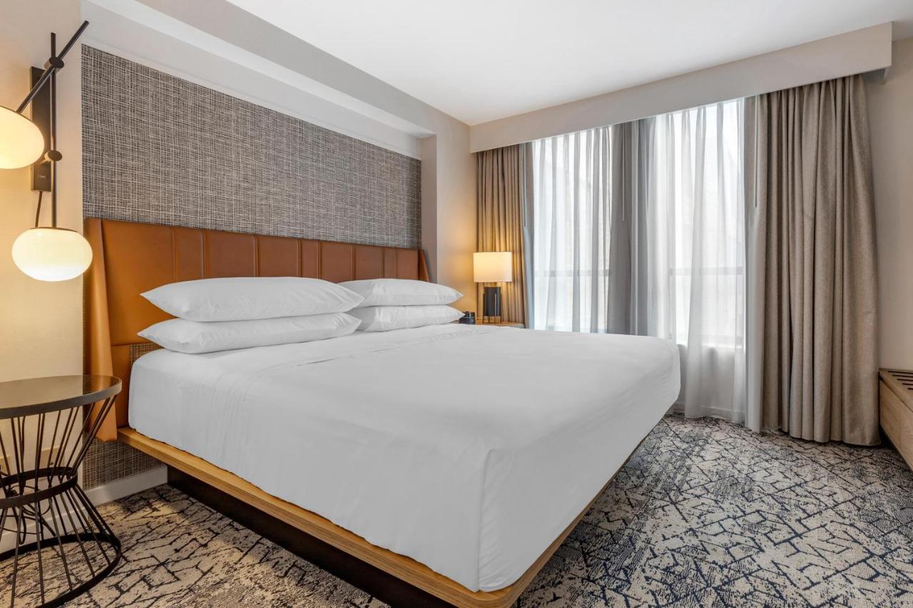 1 Bedroom Suite 1 King Sofa bed
