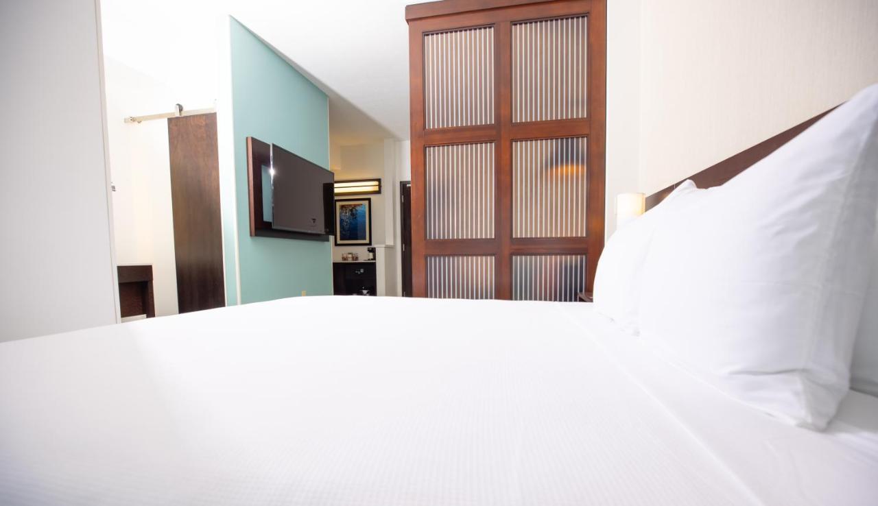 King Room Sofa Bed Roll Shower Disability Access