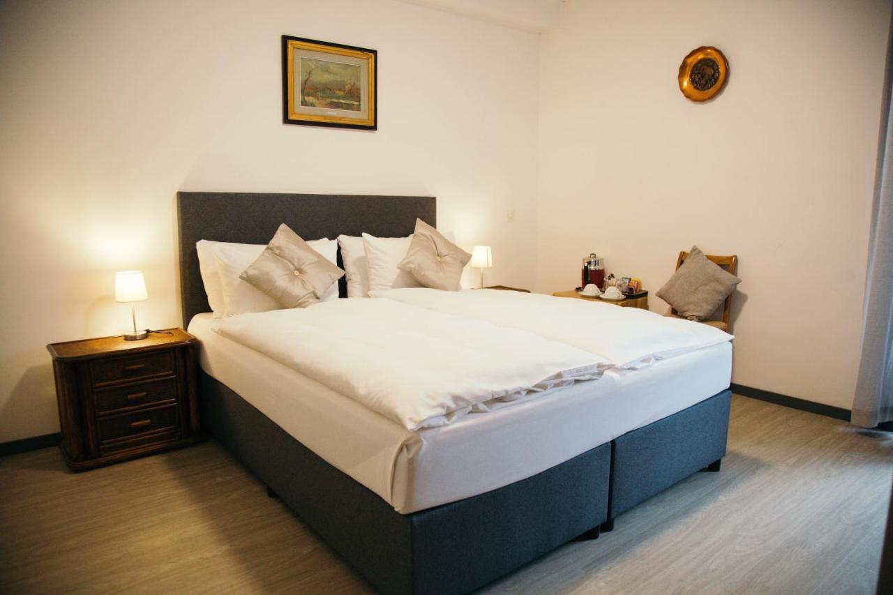 Standard Double or Twin Room Mountain View