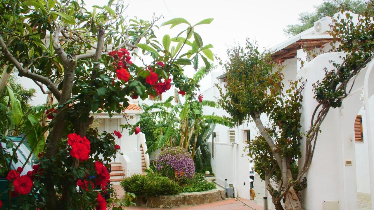 Double Room Garden View
