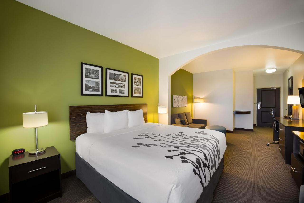 King Suite with Sofa Bed - Non-Smoking