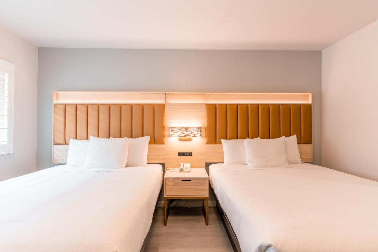 Suite Deluxe con cama extragrande