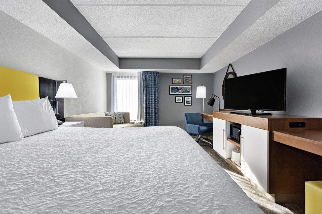 King Room Sofa Bed