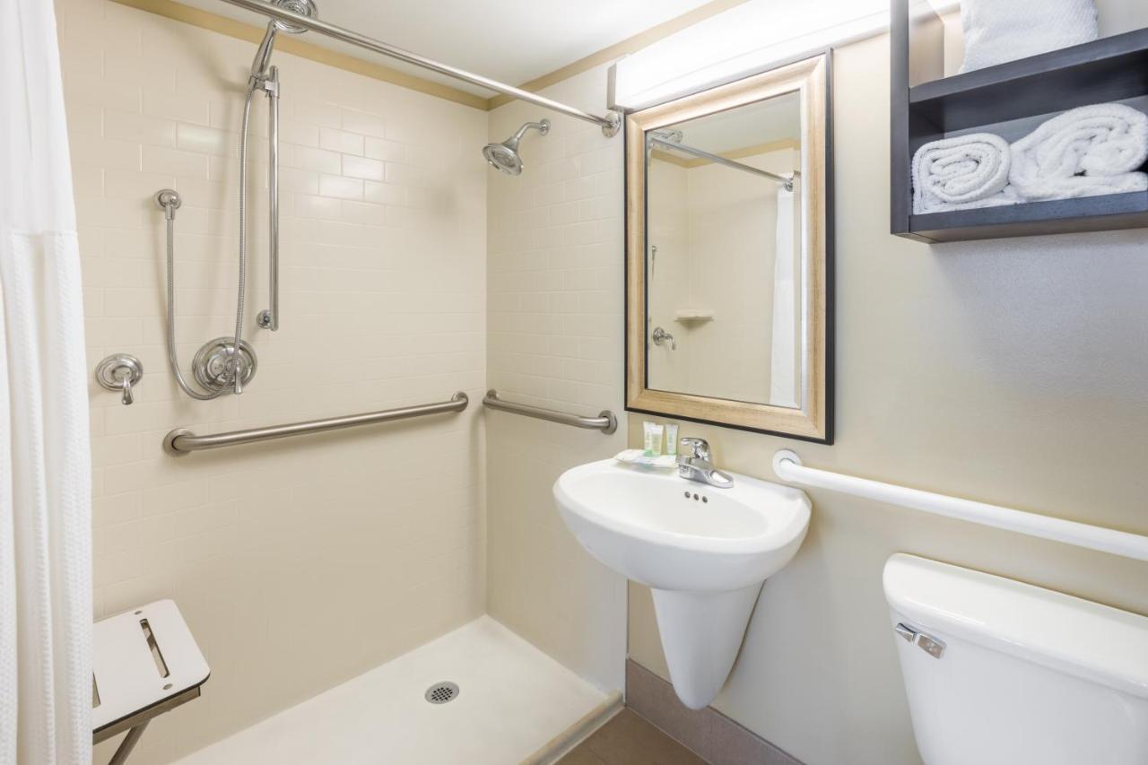 Double Room Two Double Beds Disability Access Roll Shower,1385842196:JPEG