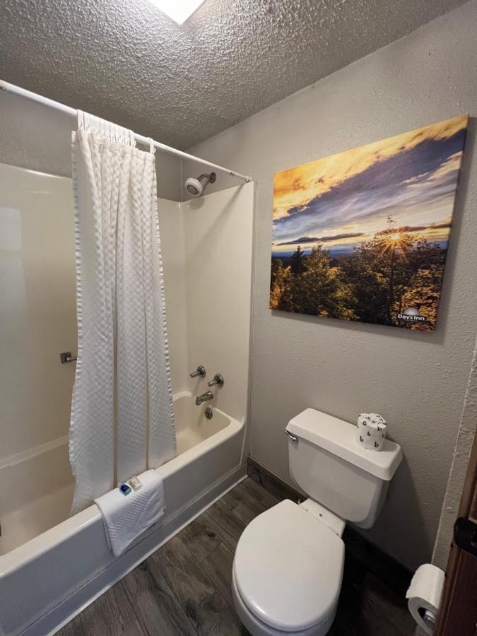 King Room Mobility Access Bathtub Grab Bars Non-Smoking