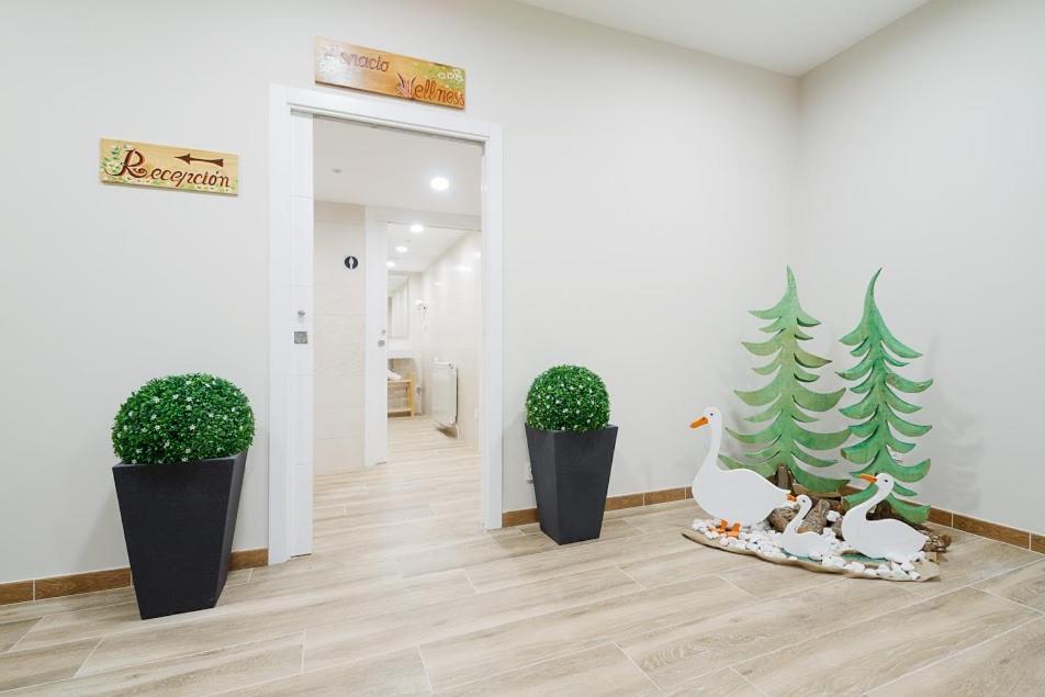 Double or Twin Room Spa Access