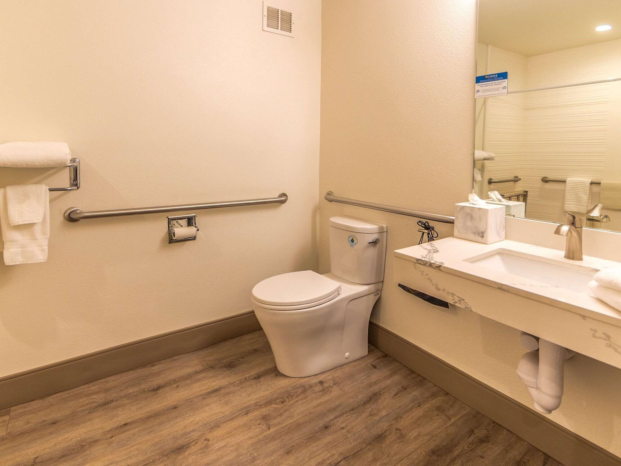King Room Roll Shower Disability Access or Non Smoking