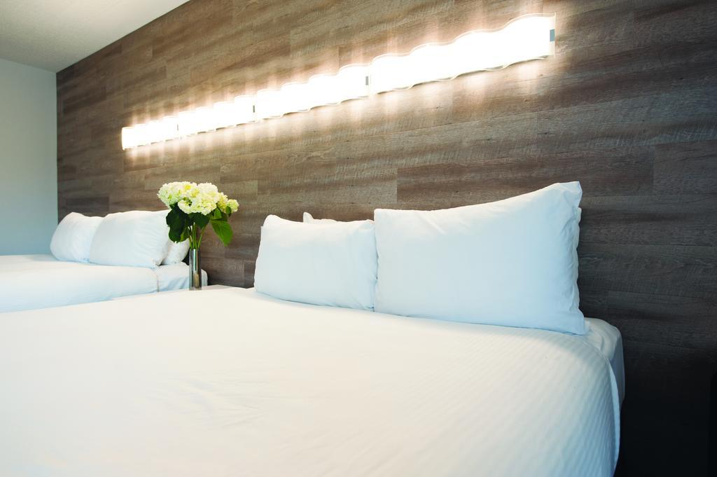 Standaard Kamer met 2 Queensize Bedden
