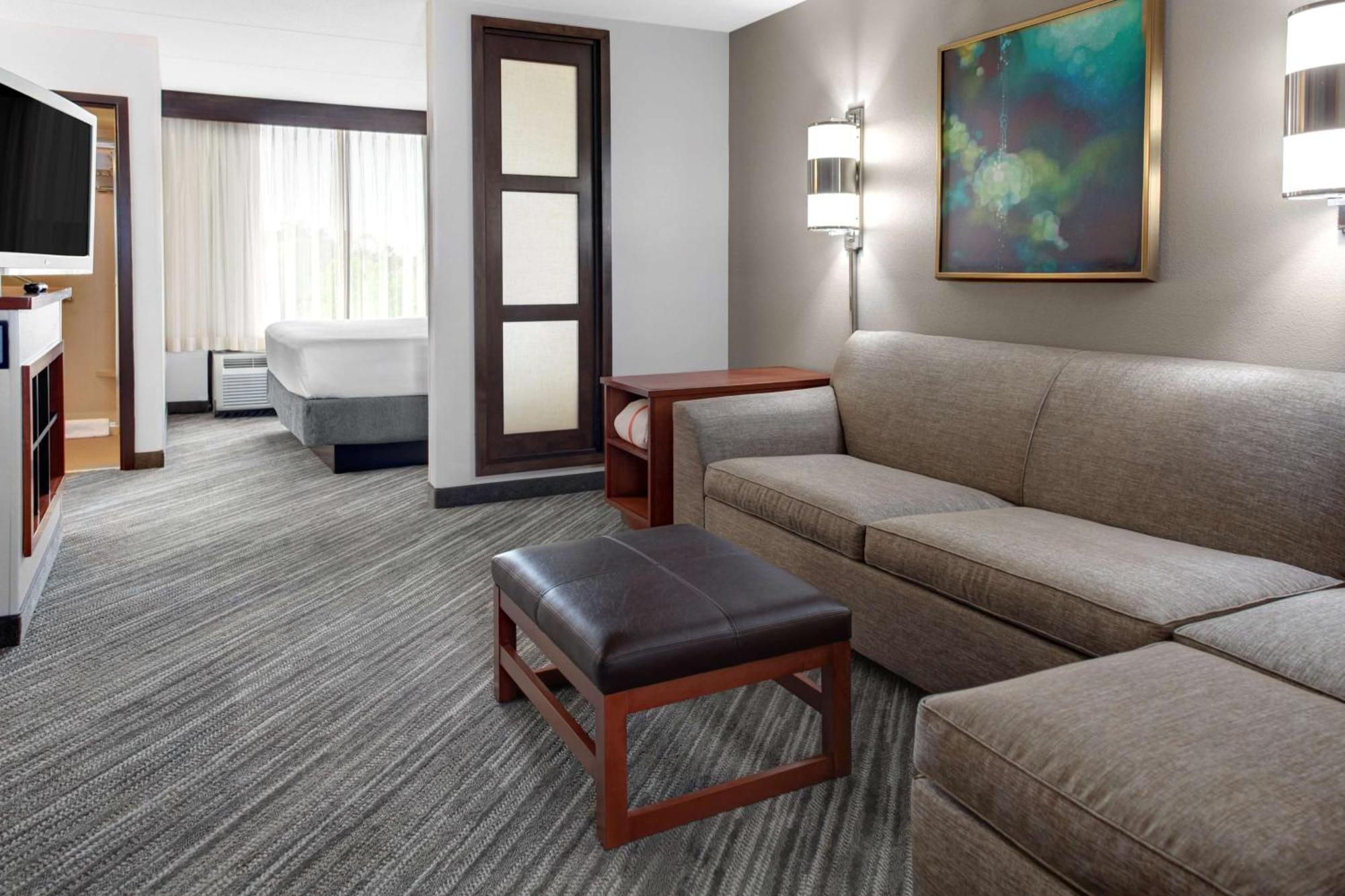 King Room Sofa Bed