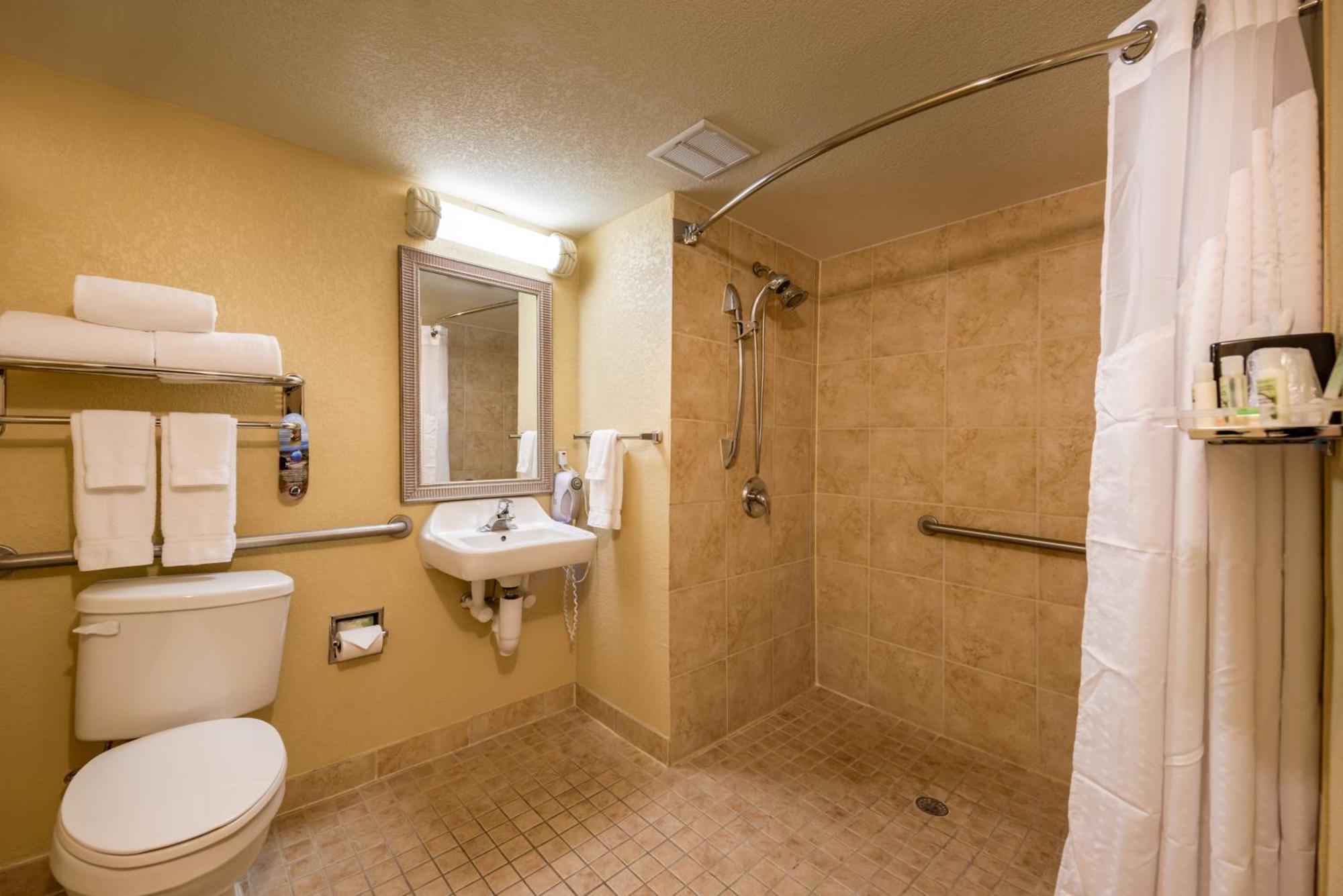 King Room Mobility Access or Roll Shower Non-Smoking