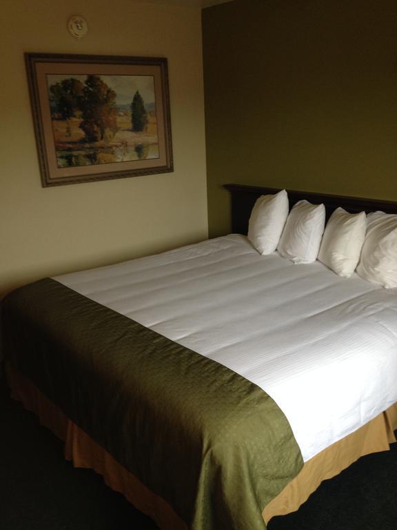 Studio Suite 1 King Bed Non-Smoking
