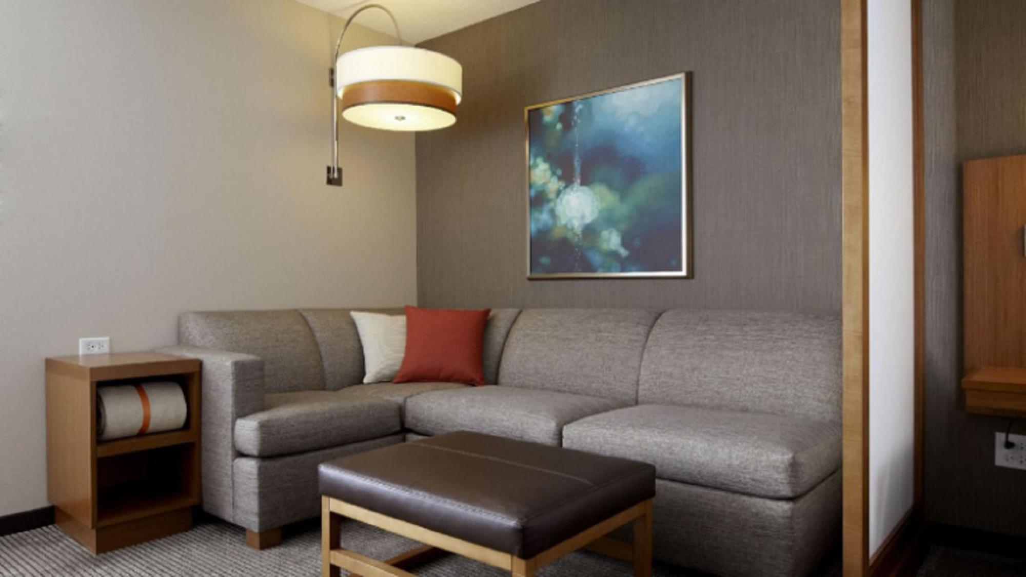 King Room Sofa Bed