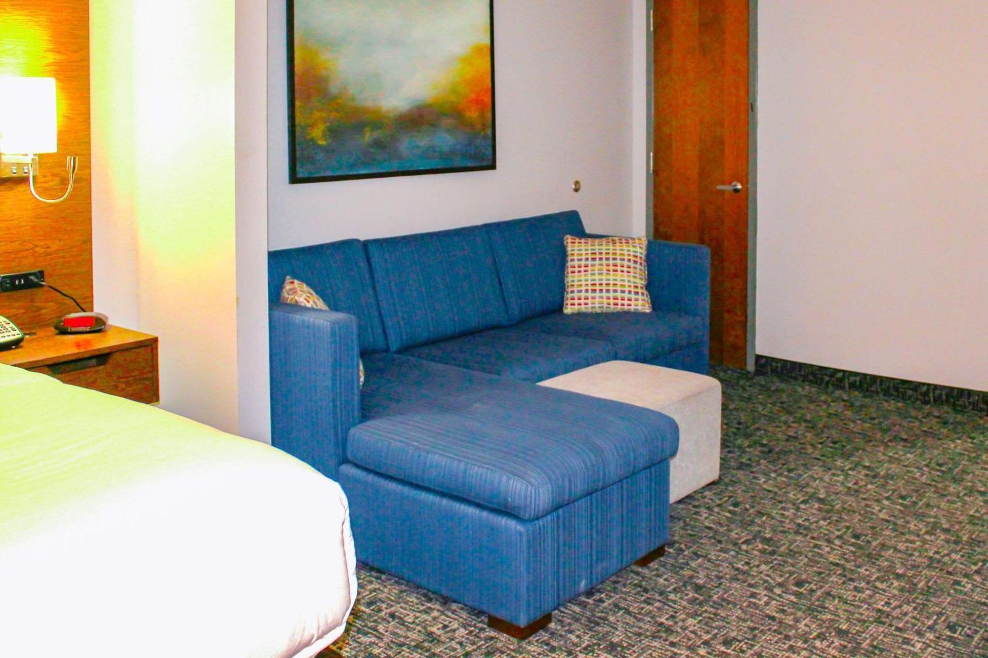 King Suite Sofa Bed Non-Smoking
