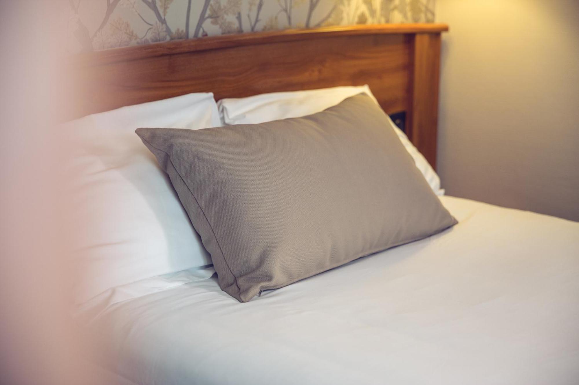 Comfort Single Room