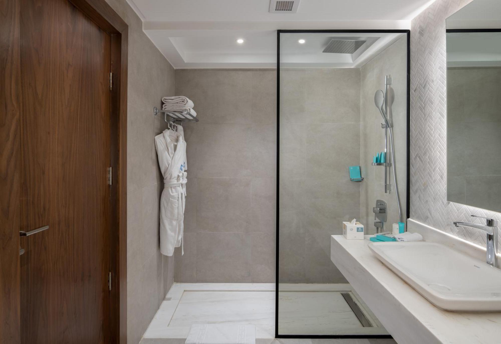 Deluxe Double or Twin Room Pool View