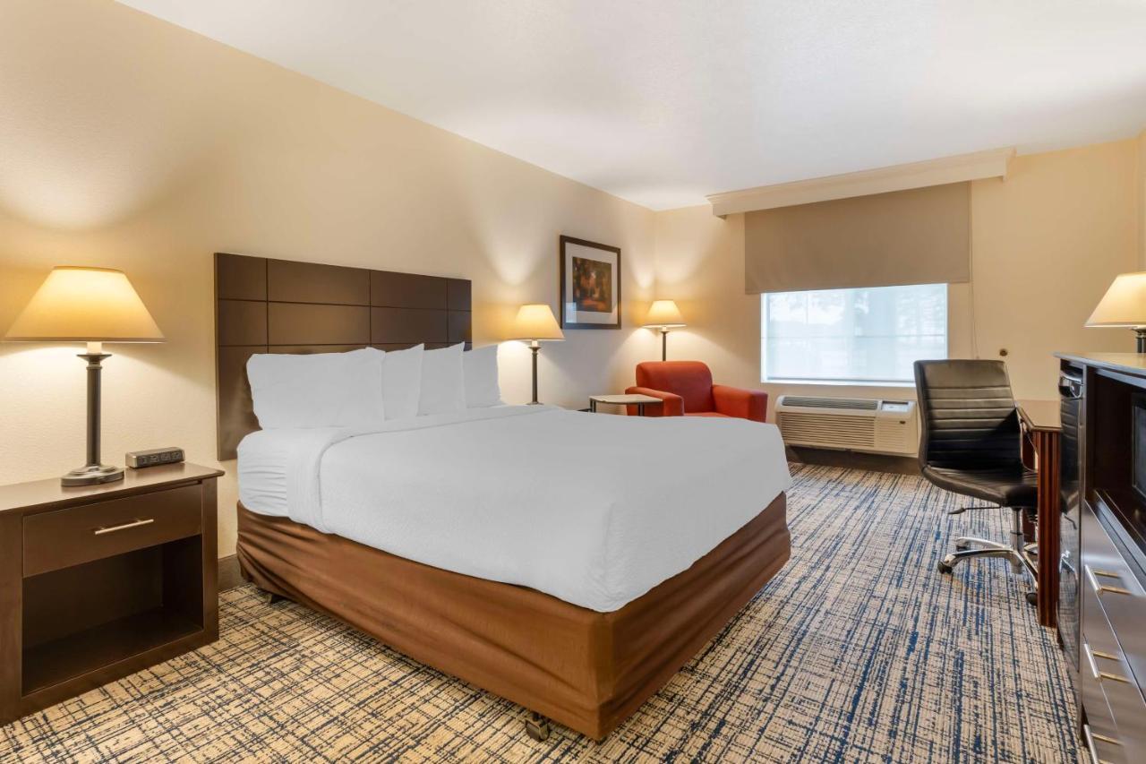 Queen Room - Mobility Accessible/Non-Smoking