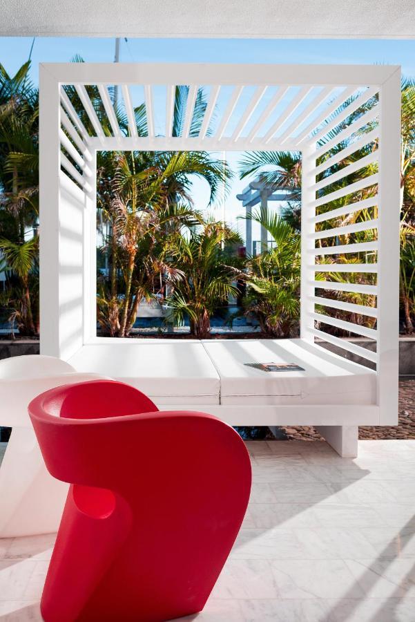 Suite Terrace