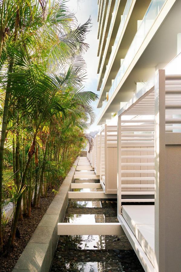 Suite Terrace