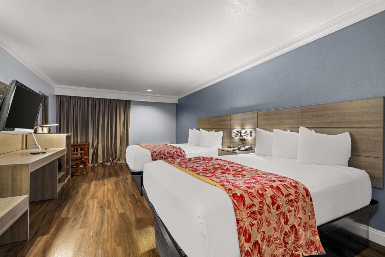 Double Room Two Double Beds Non-Smoking
