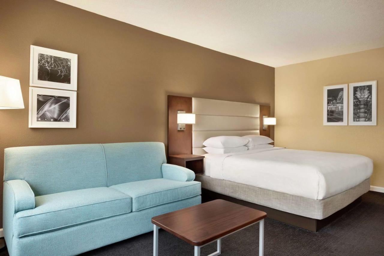 King Room Sofa Bed