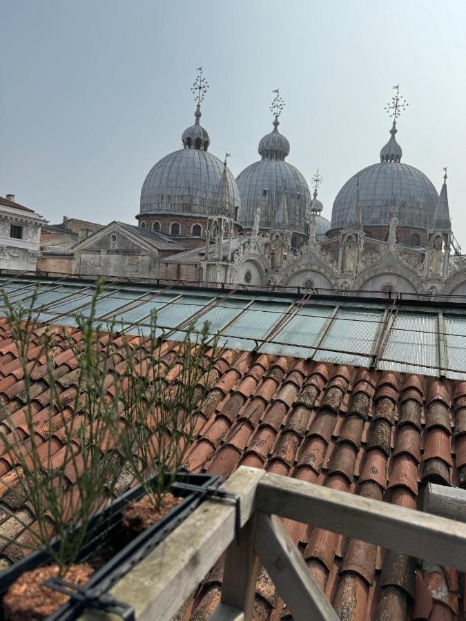 King Suite Terrace