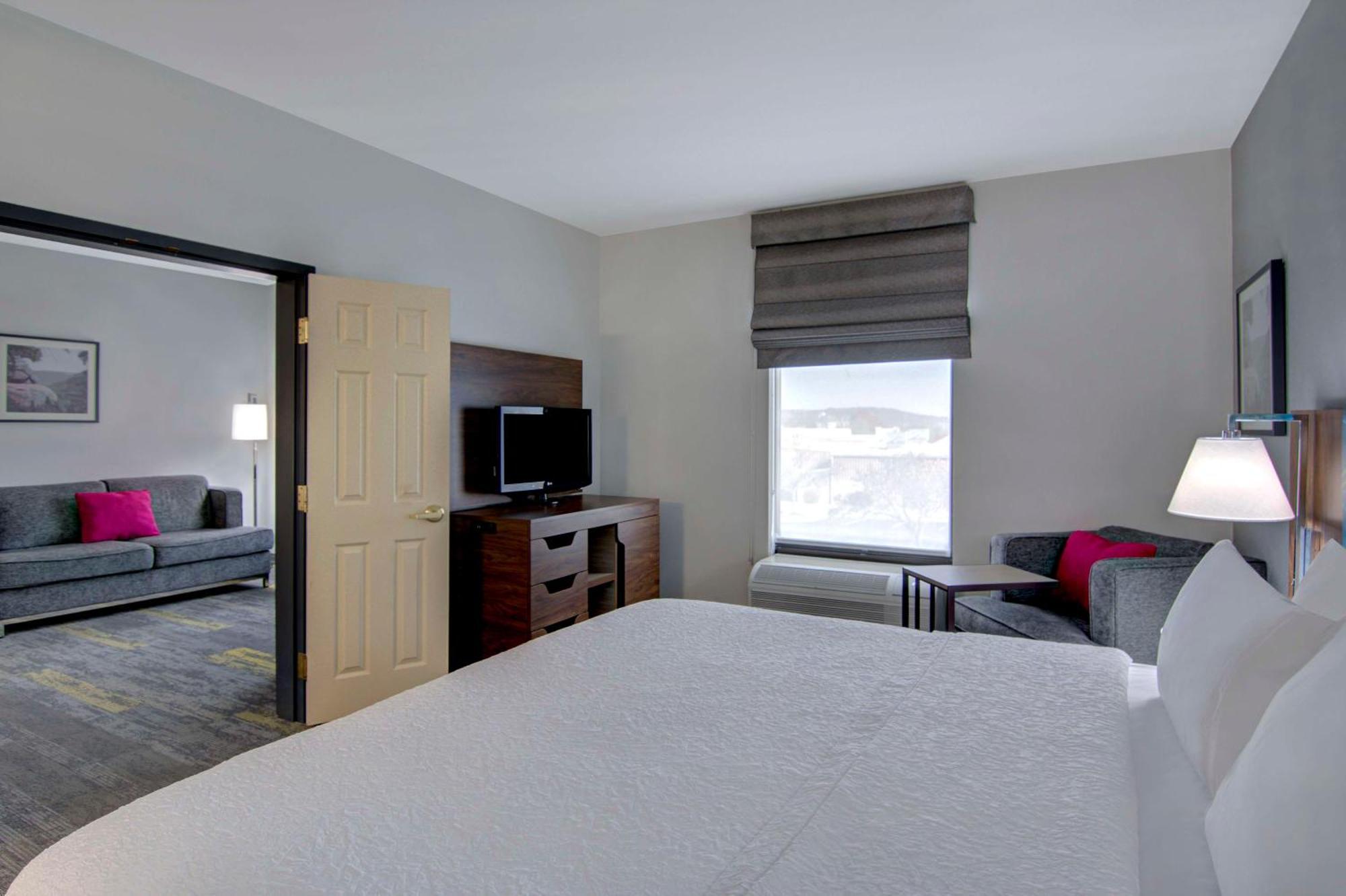 One-Bedroom King Suite Sofa Bed Non-Smoking