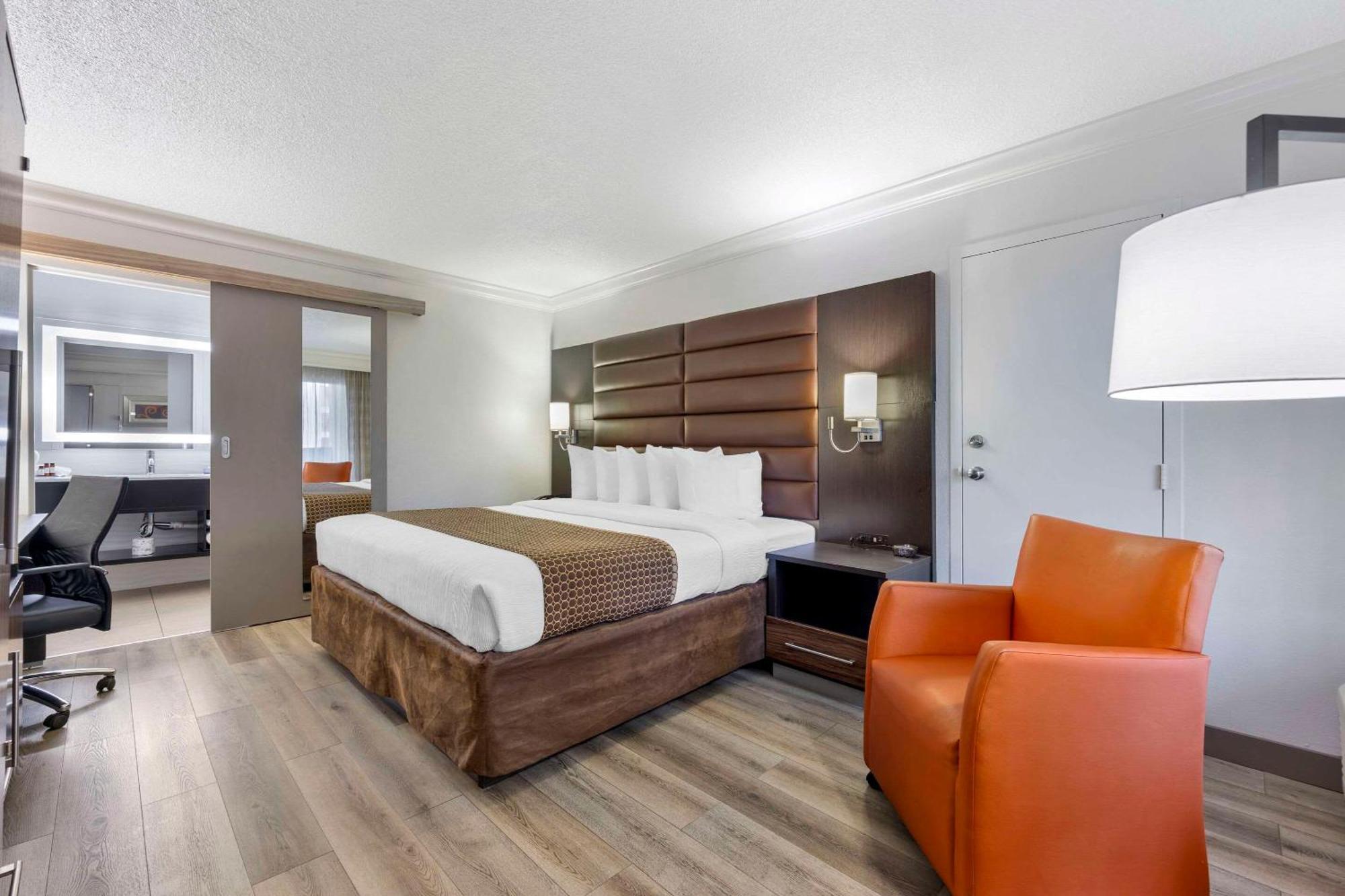 King Room