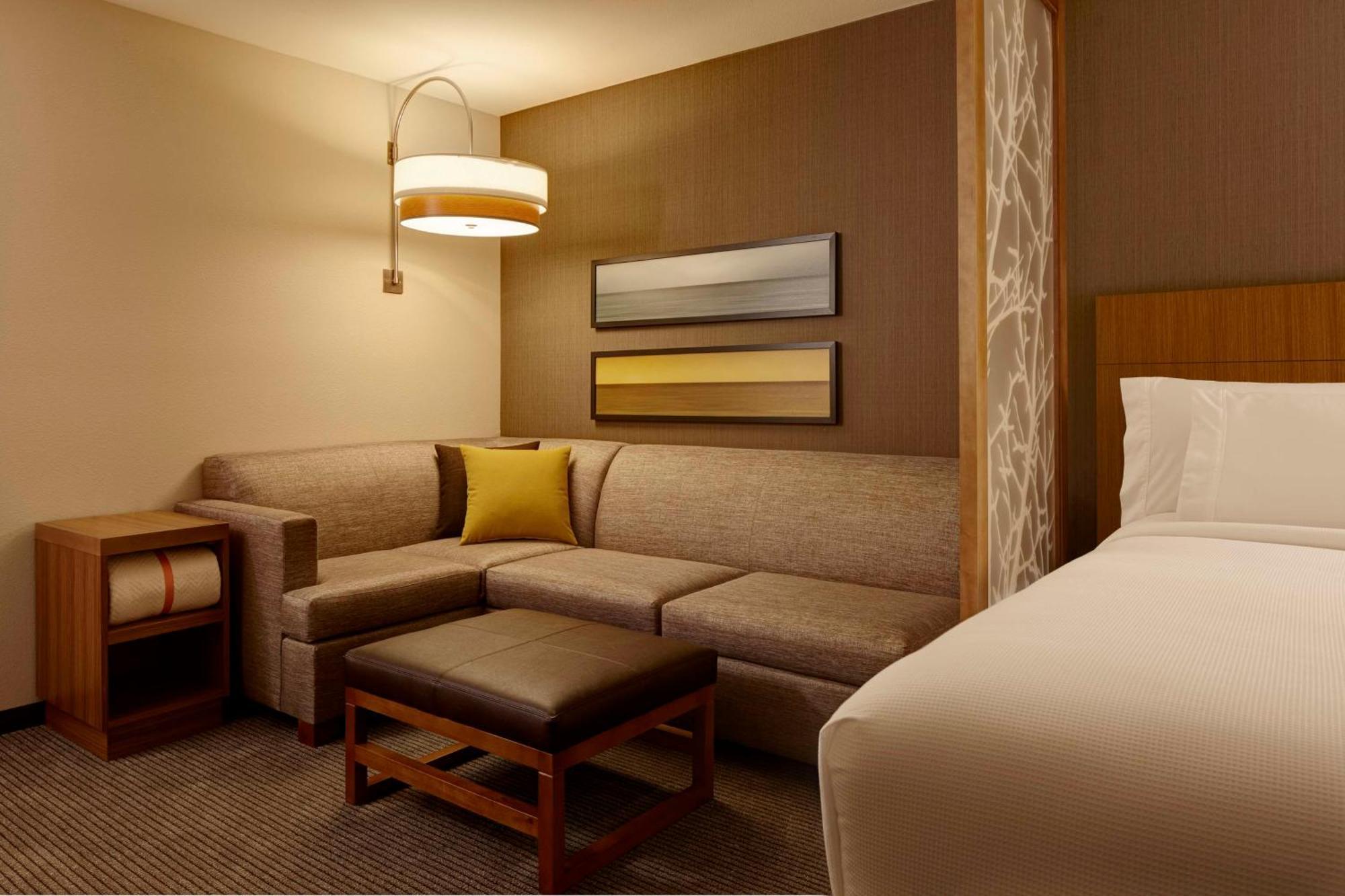 Standard King Room Sofa Bed