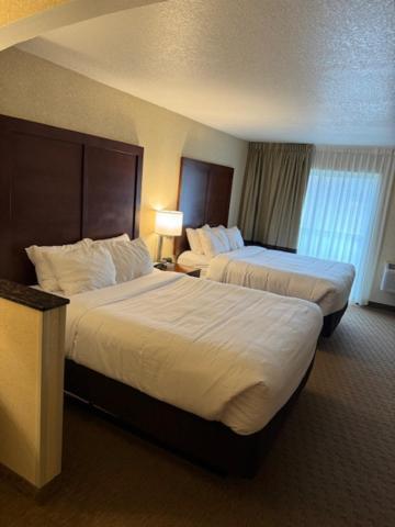 Queen Suite Two Queen Beds Sofa Bed Non Smoking