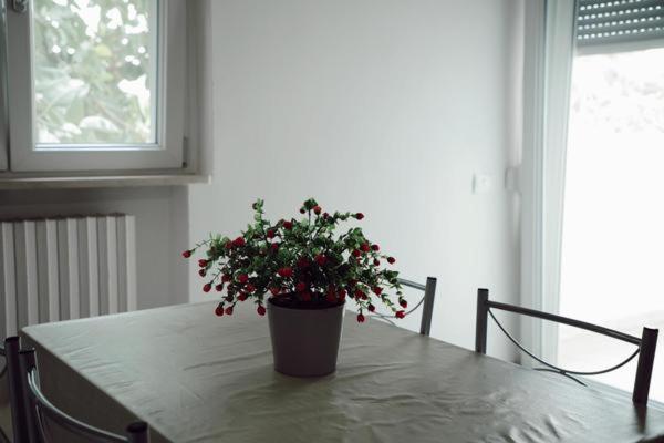One-Bedroom Apartment Fucsia