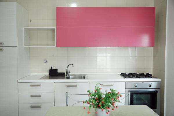 One-Bedroom Apartment Fucsia