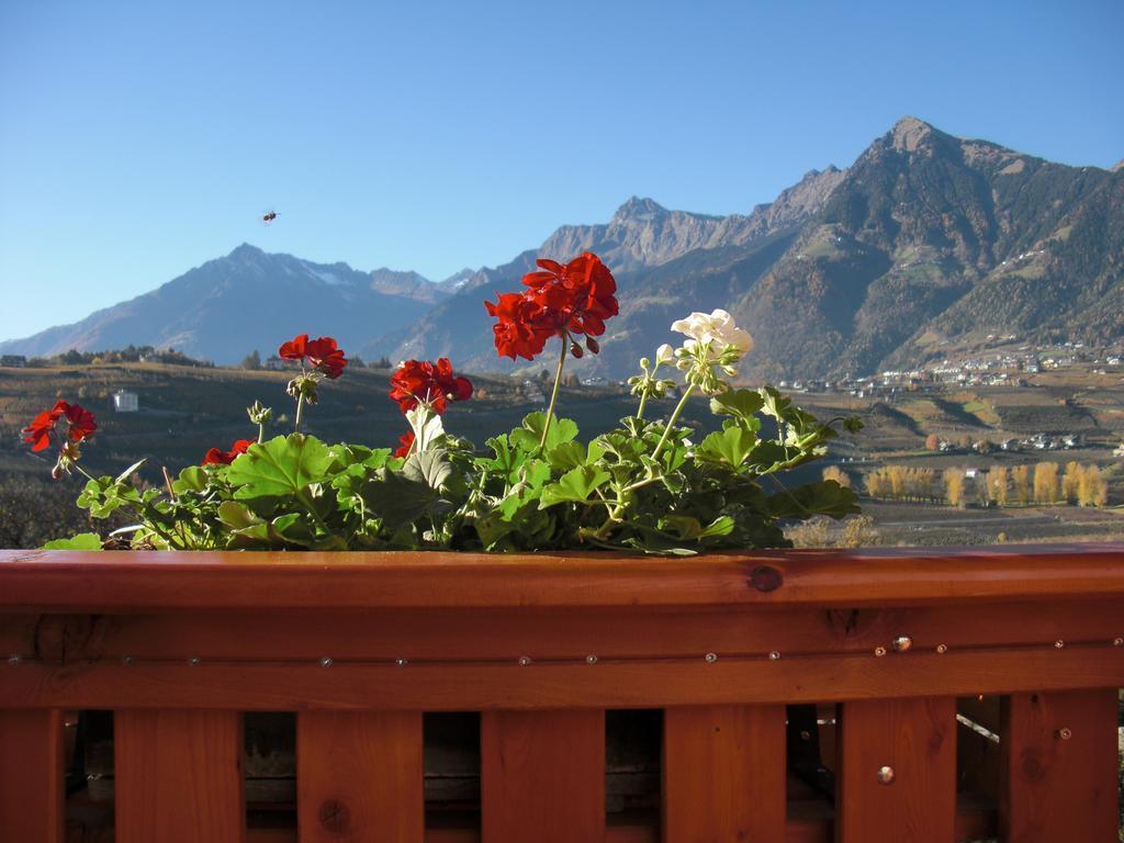 Double Room Balcony,153214657:JPEG