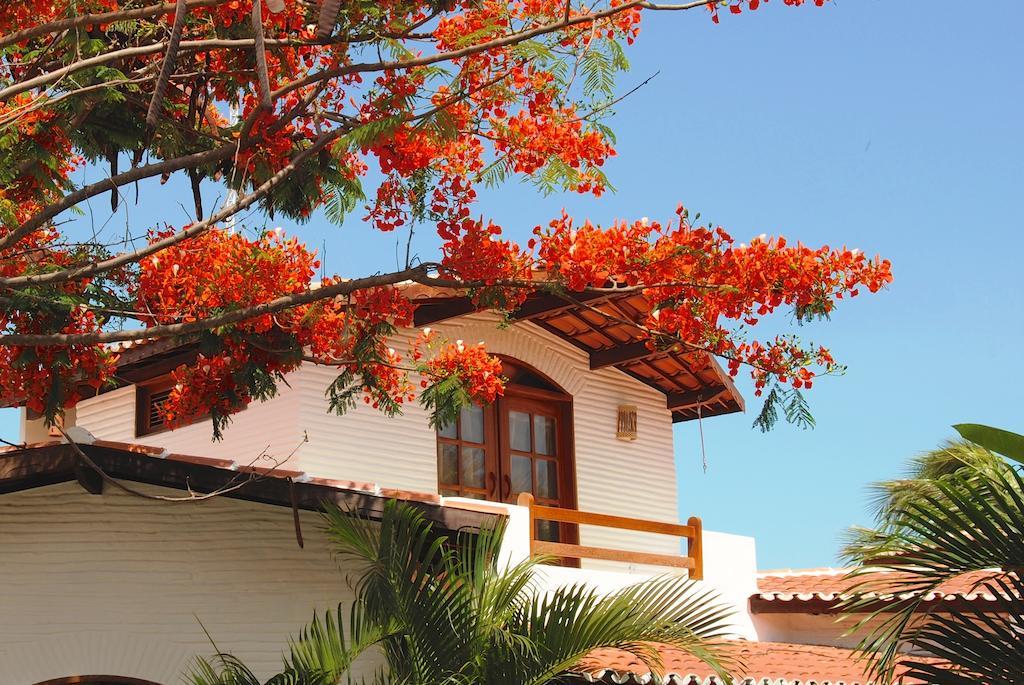 Bangalô Standard com Ventilador