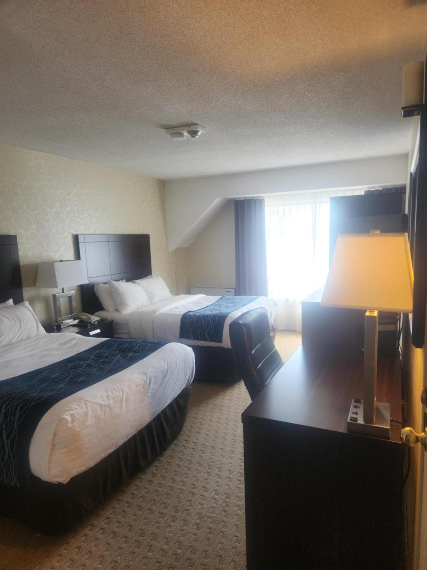 Comfort Care Double Room withTwo Double Beds Non-Smoking
