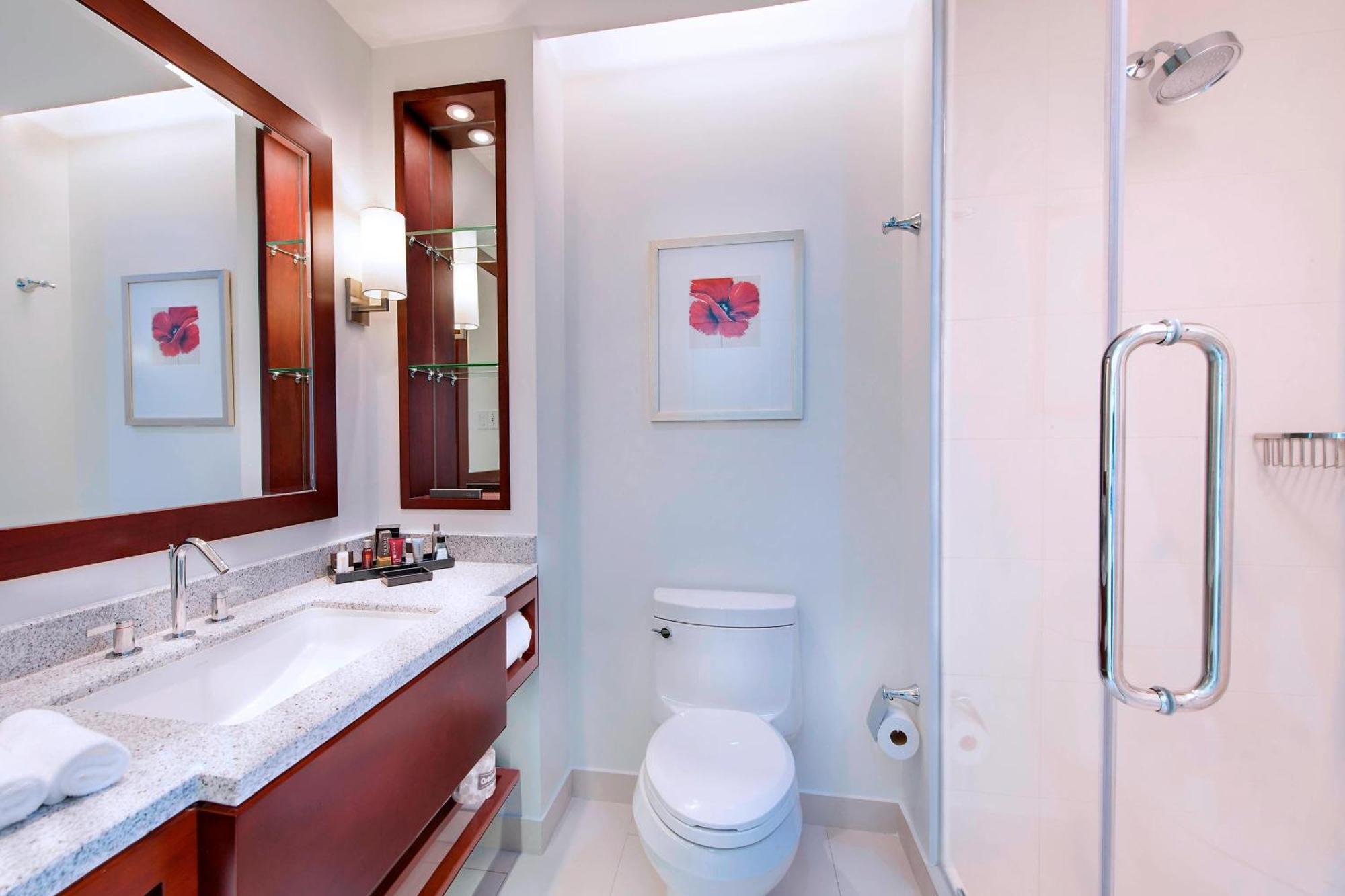 Deluxe King or Double Room City View