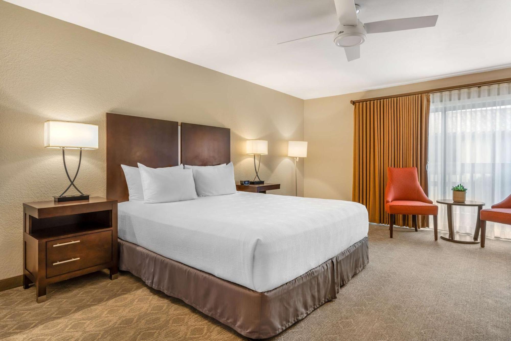 King Room