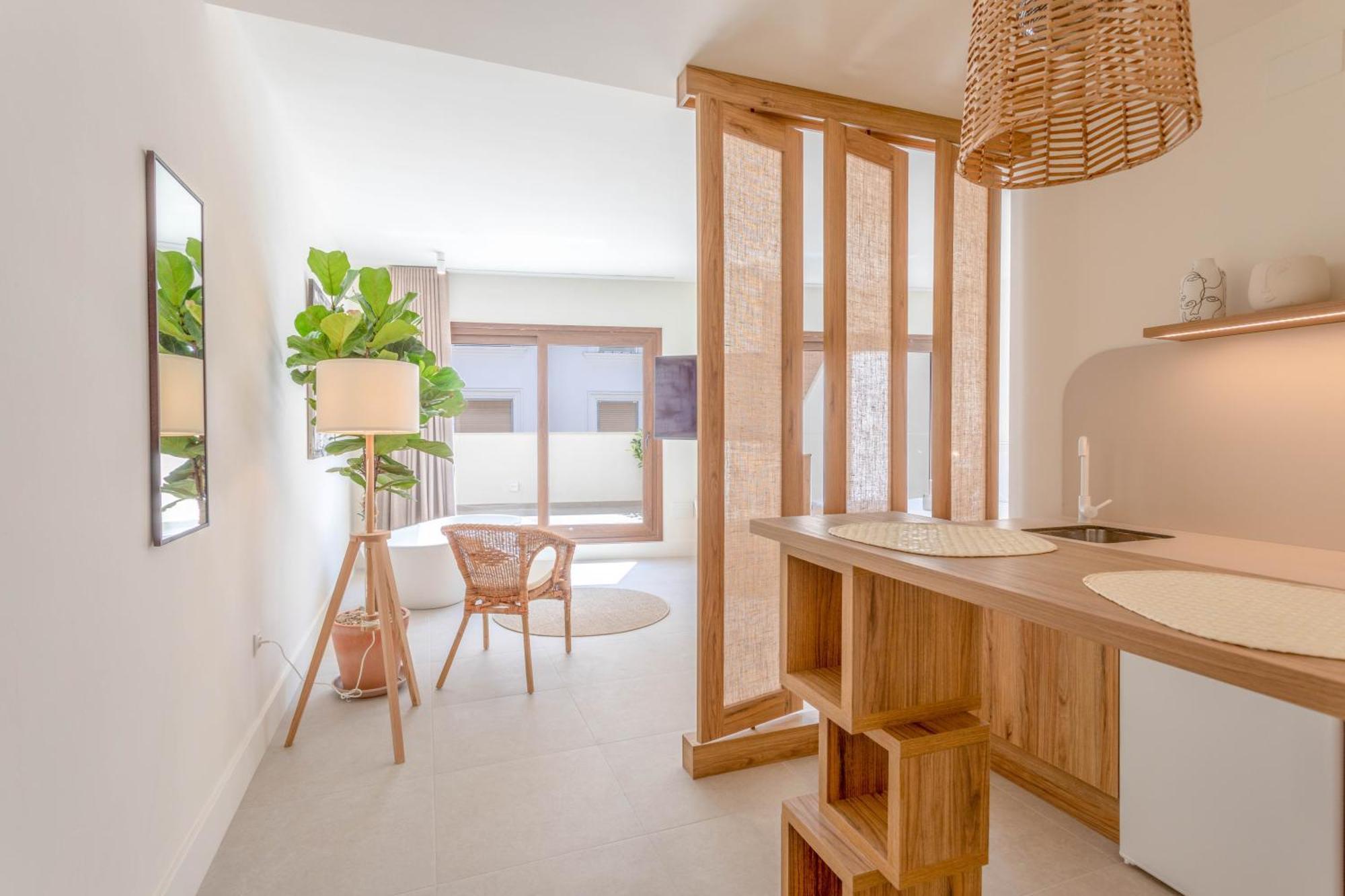 Penthouse Apartment