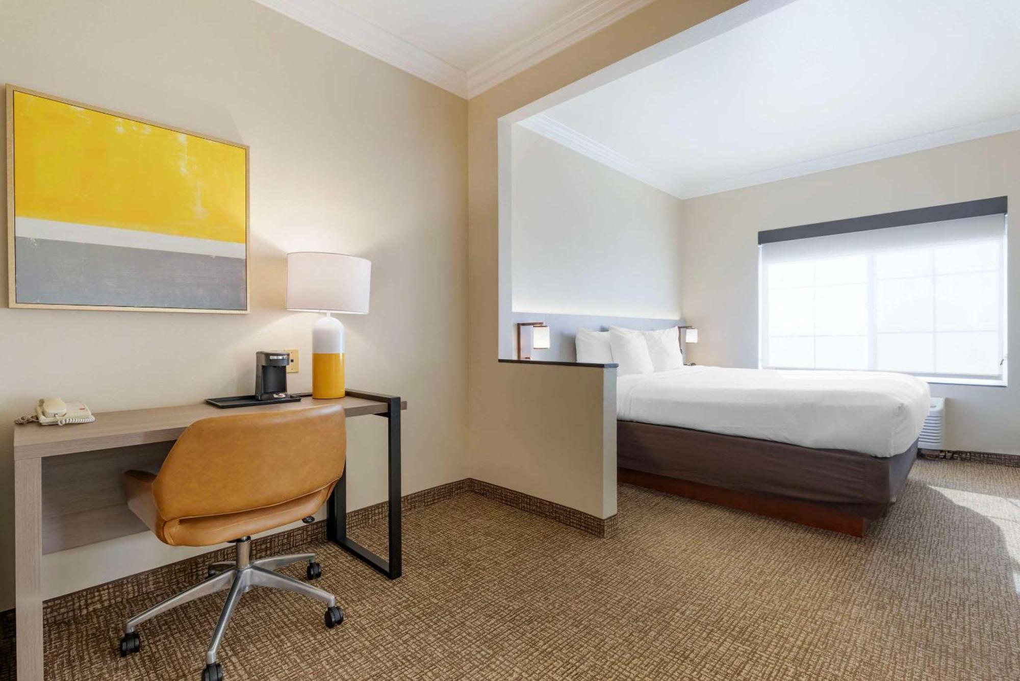 Ocean View Suite Sofa Bed 1 King Bed Living Room Non Smoking