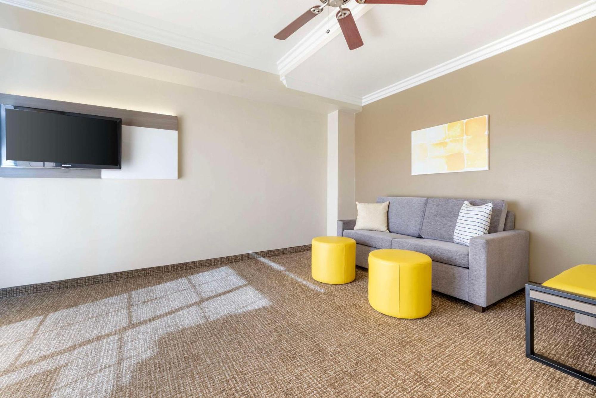 Ocean View Suite Sofa Bed 1 King Bed Living Room Non Smoking