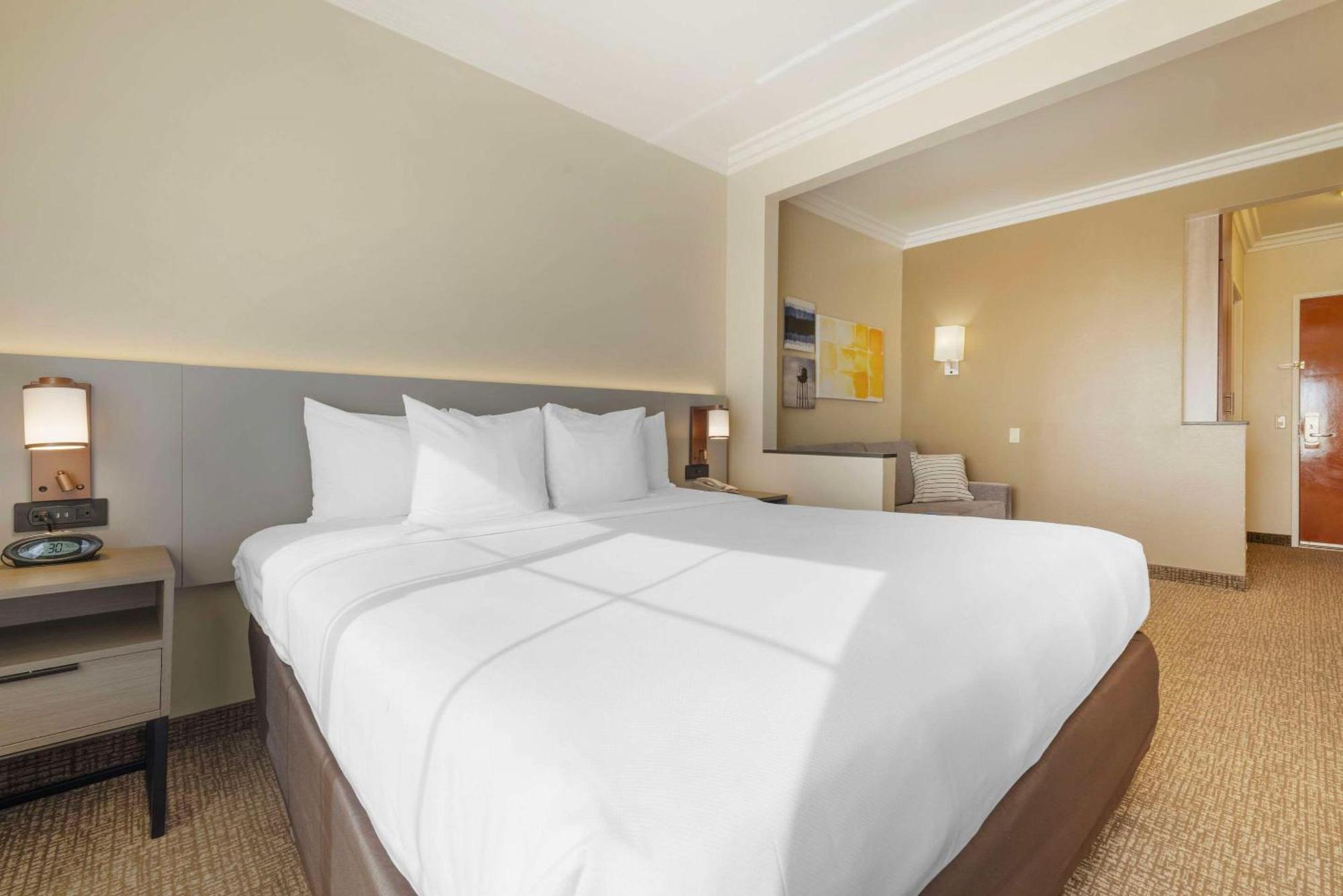 Junior Suite 1 King Bed Sofa Bed Non Smoking