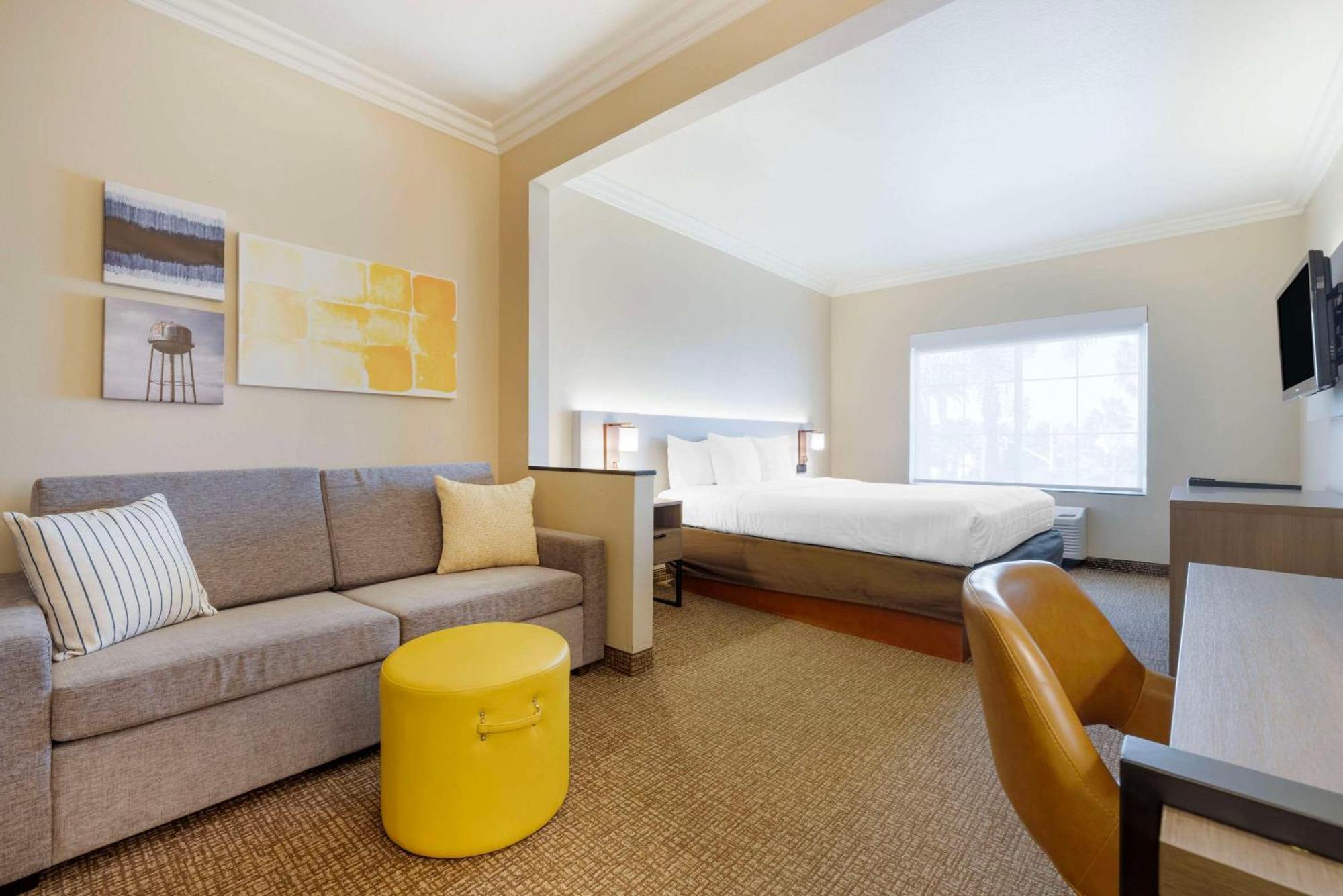 Junior Suite 1 King Bed Sofa Bed Non Smoking