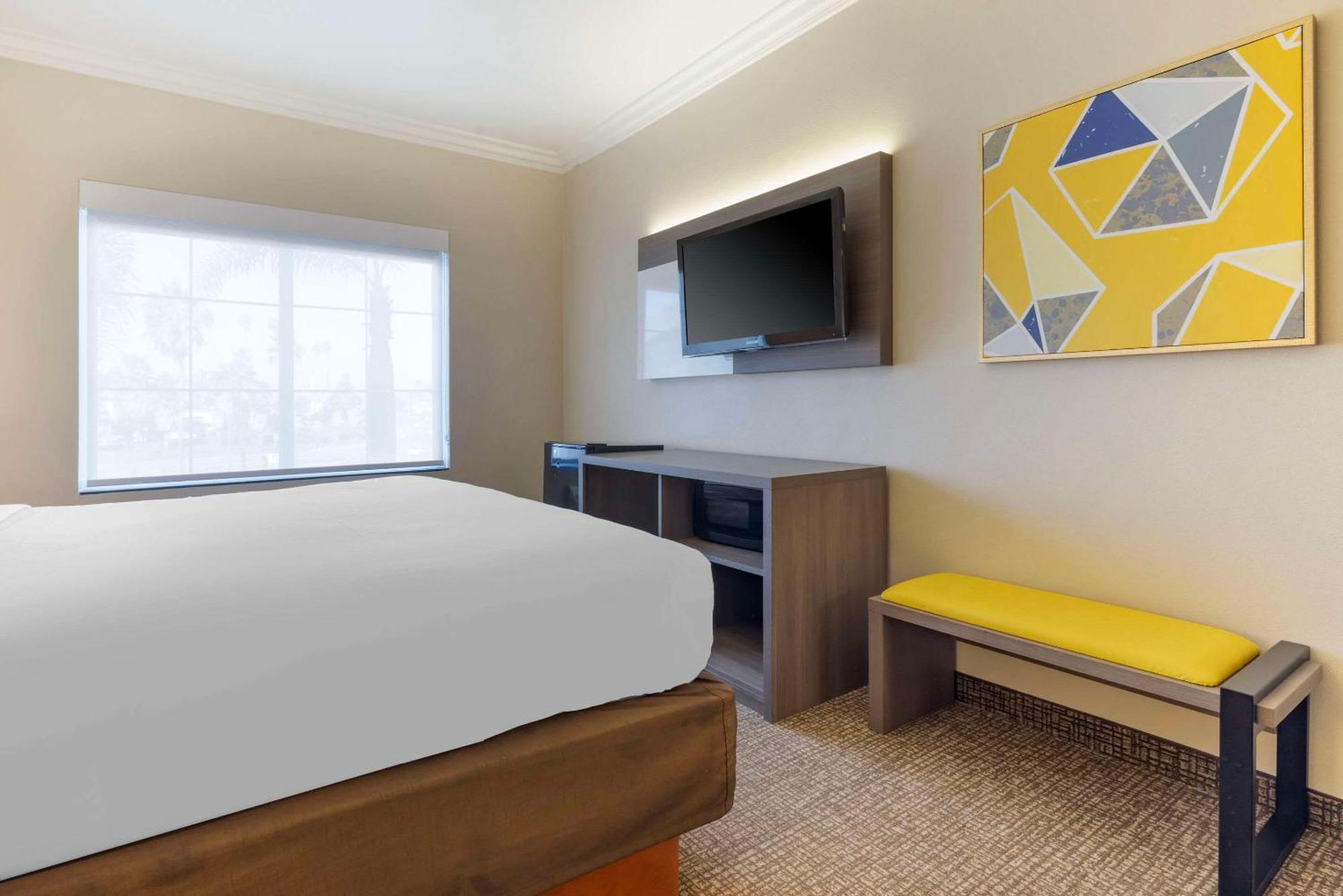 Junior Suite 1 King Bed Sofa Bed Non Smoking