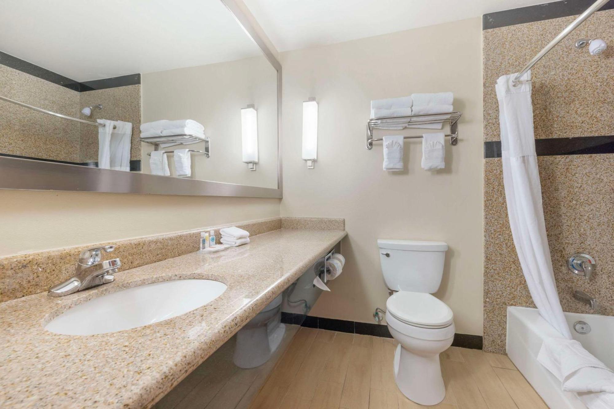 Deluxe Suite, 1 King Bed, Sofa Bed, Balcony, Non Smoking